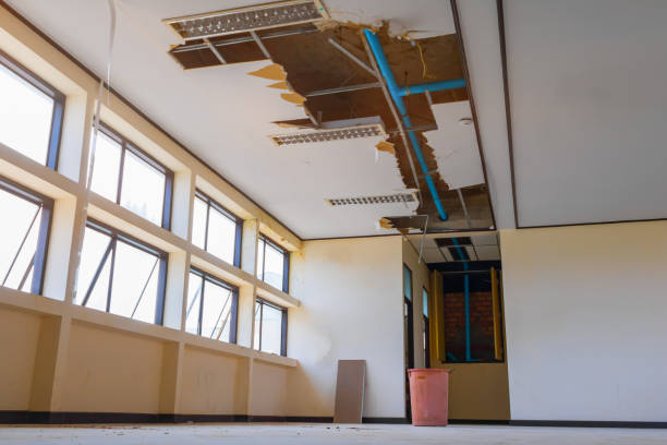 Best Ceiling water damage repair  in Amsterdam, NY