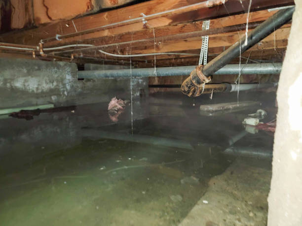 Best Ceiling water damage repair  in Amsterdam, NY