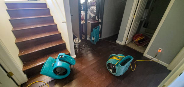 Best Residential water damage restoration  in Amsterdam, NY