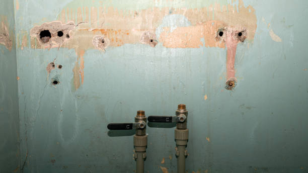 Best Fire Damage Restoration  in Amsterdam, NY